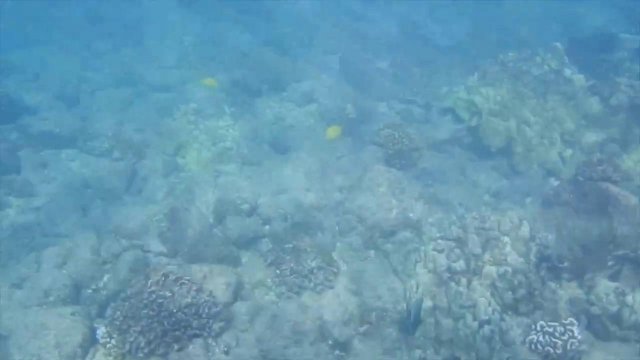 Превью Любительница путешествий наслаждается сексом с мачо на свежем воздухе № 36036