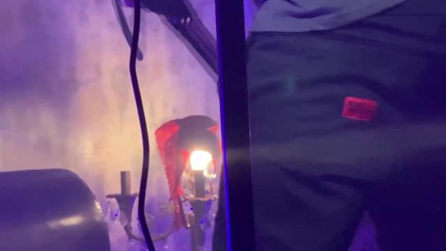 Превью Сексуальная оргия на домашней вечеринке № 39693