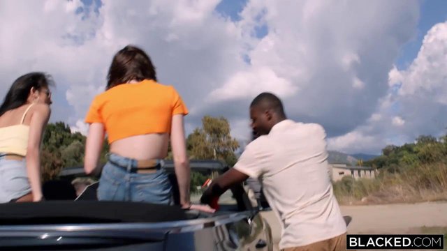 Превью Девушки делятся длинным членом негра и кончают № 42291